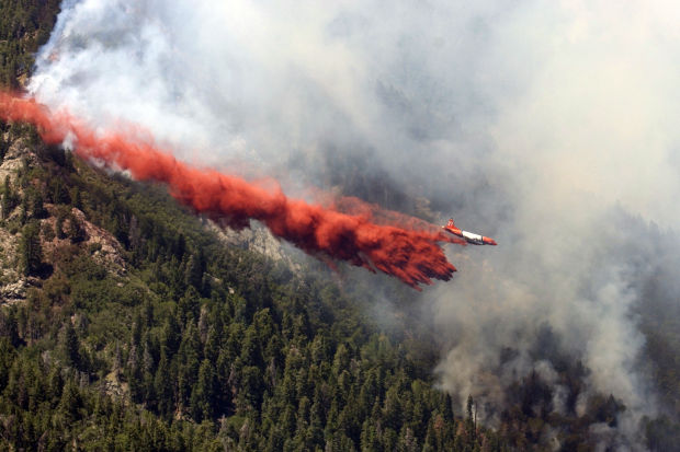 The Nuttall Complex Fire in 2004